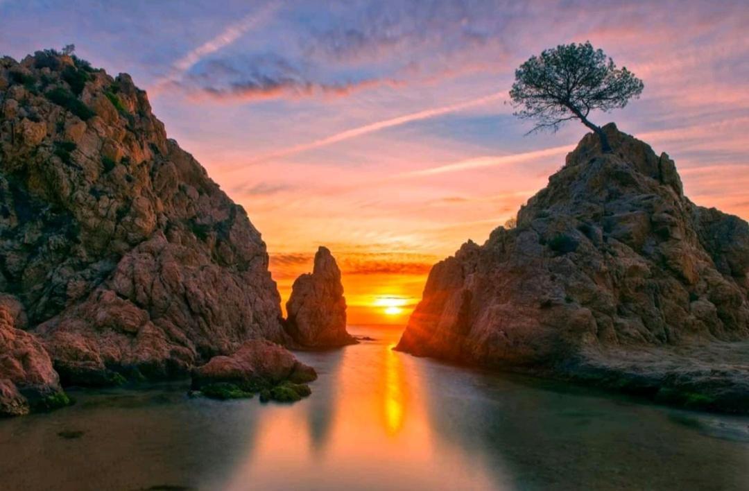 Portal 17 Can Tort Tossa de Mar Eksteriør billede